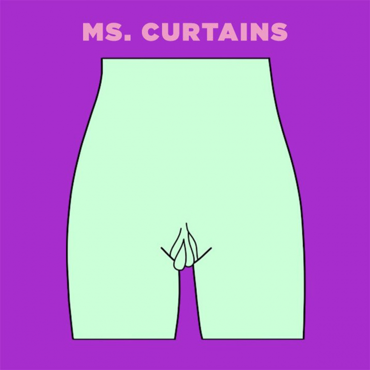Ms-Curtains-vagina-illustration.jpg Ms-Curtains-vagina-illustration.jpg